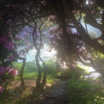 silentspring