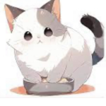 KittensAndCats club