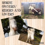 Horses Lovers | Riders | Owners