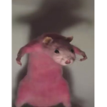 RATS_BEST
