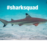 #SharkSquad!