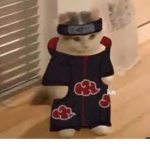 Naruto Katz