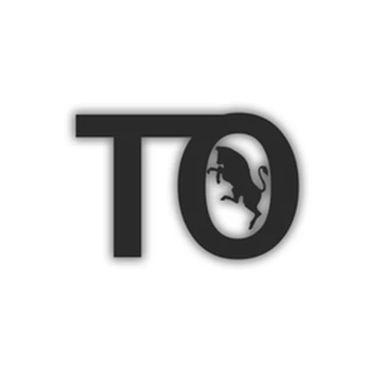 Città Metropolitana Torino Roblox group icon