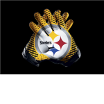 Pittsburgh Steelers  fans