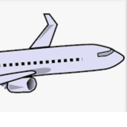 Airplane Role Play