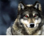 The Mountains of The Wolves