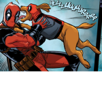 DOGpoolTEAM