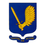 Thunderbolt Battalion