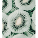 ~Fem team~
