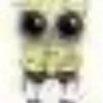 Epic Crusty Gang