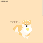 댕댕이 주식회사