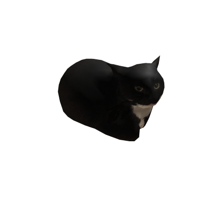 Maxwell cat