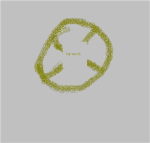 four sword clan