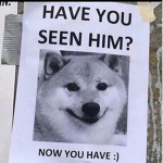 UnitedShibes
