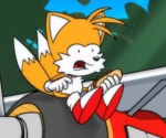 Silver The hedgehog's group
