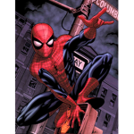 All Spidey Fan Club