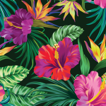 ~ Hibiscus fan club & clothing!~