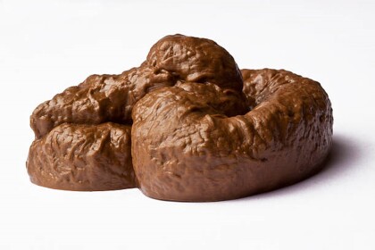 poopy obby