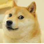 King Doge’s Kingdom (HI_ChewyGaming)