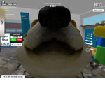 Doge Era
