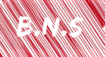 B.N.S (Streatzwar2)