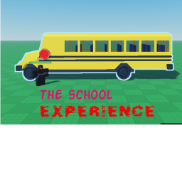 The school Experience