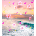 Sunset Blooms