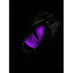 THE VENOM REVAMP