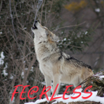 FE@RLESS GROUP