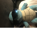 Squirtle grupp