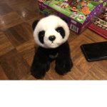 Cute panda team studio friends join my troupe ok ?