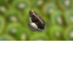 Mama Kiwi and Monkey fan group