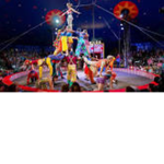 Flexy Circus