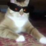 Katanox