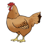 IOO% official chicken squad