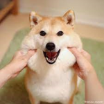 之光營區