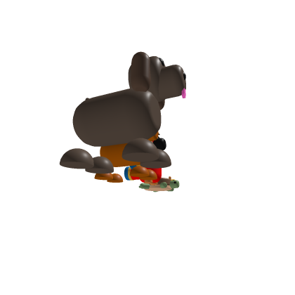Pets