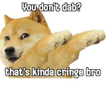 doge doge doge doge group