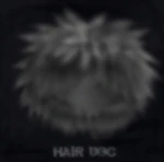 HAlR UGC Group Thumbnail