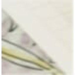.・゜゜・　　・゜゜・．