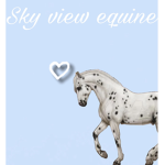 Sky view equine attire