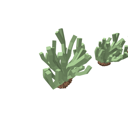 CreosoteBushPack