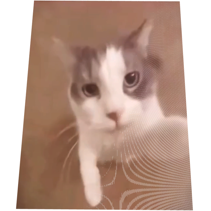 Animated Kissing Cat Cape