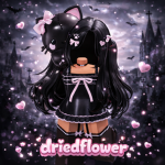 driedflower