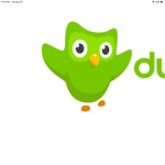 duolingo’s united