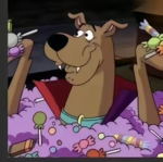 Dogs dogs I love dogs
