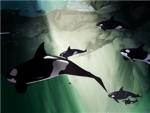 The Orca Defenders