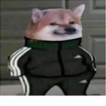 Doge's secret hideout