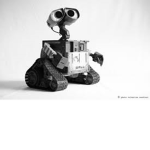 robbottini