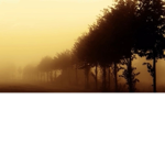 FB_Islands-Roblox[Español]